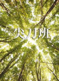 网站免费